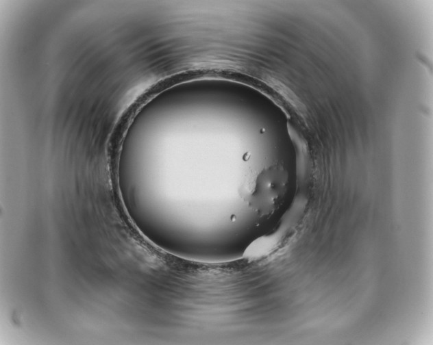 X0000096431022200801241334