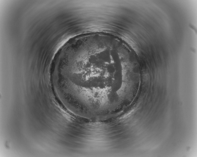 X0000096431023200801241334