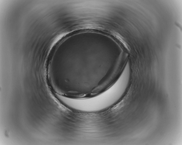 X0000096431024200801241334