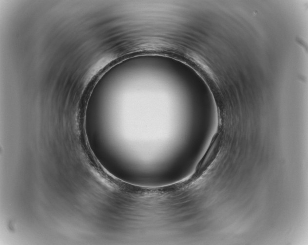 X0000096431026200801241334