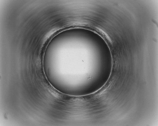 X0000096431027200801241334