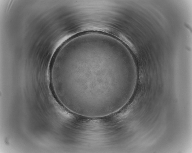 X0000096431028200801241334