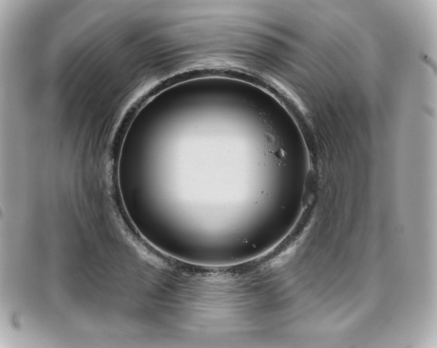 X0000096431029200801241334