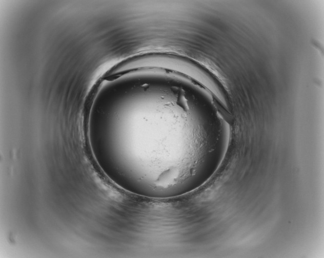 X0000096431030200801241334