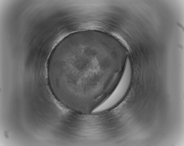 X0000096431031200801241334