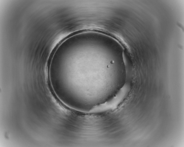 X0000096431032200801241334