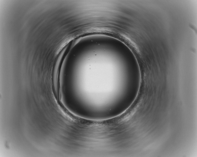 X0000096431033200801241334