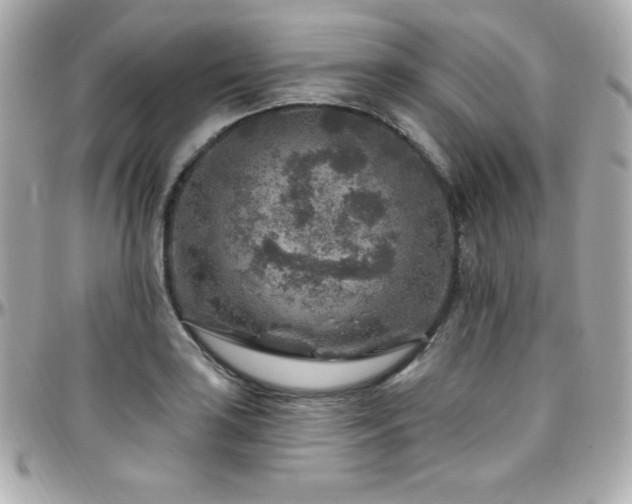 X0000096431035200801241334