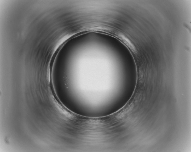 X0000096431036200801241334