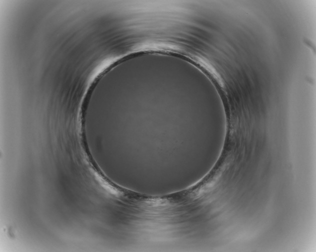 X0000096431037200801241334