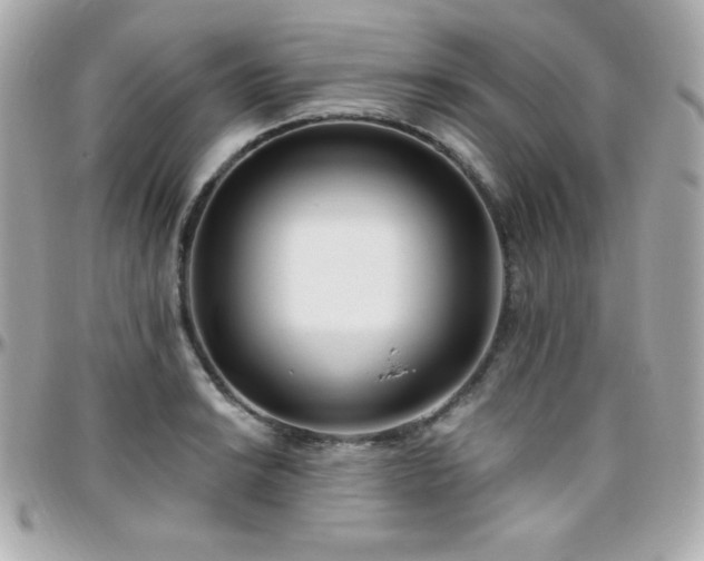 X0000096431038200801241334