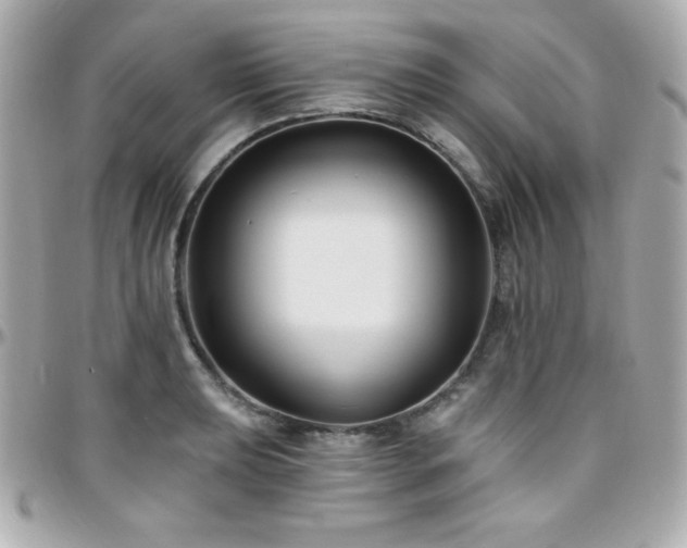X0000096431039200801241334