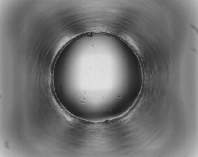 X0000096431040200801241334