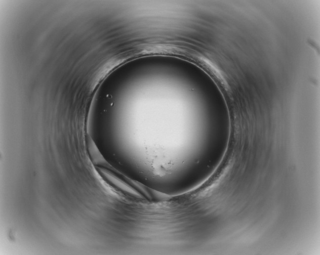 X0000096431041200801241334