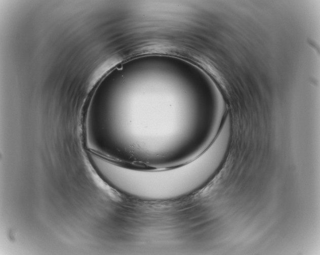 X0000096431042200801241334