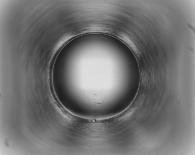 X0000096431043200801241334