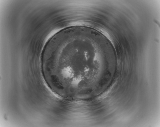 X0000096431045200801241334