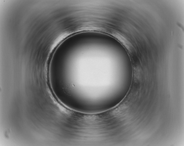 X0000096431046200801241334