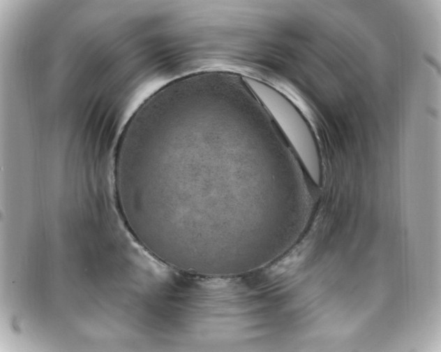 X0000096431048200801241334
