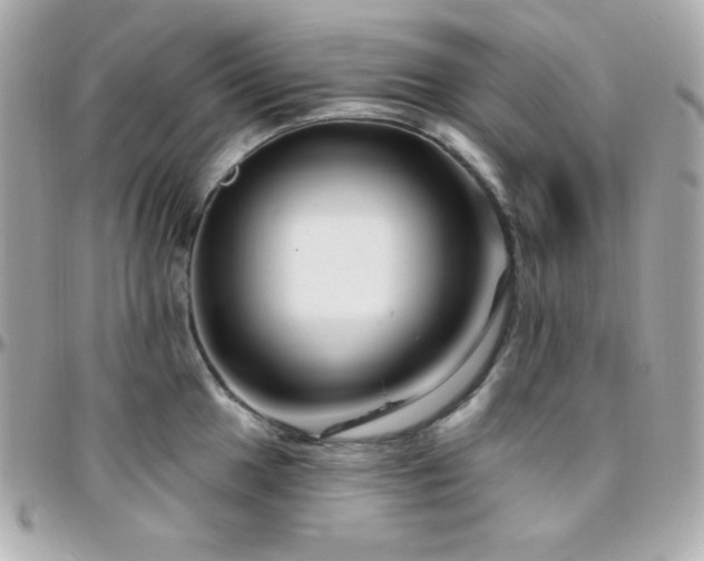 X0000096431049200801241334
