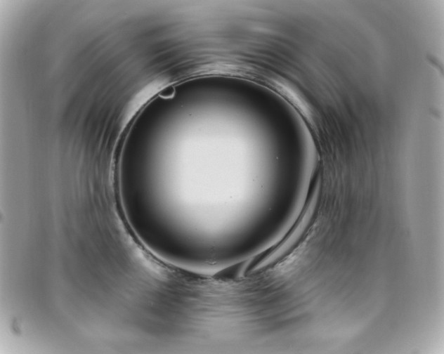 X0000096431050200801241334
