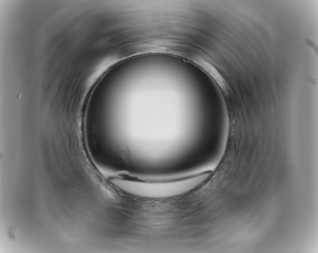 X0000096431051200801241334