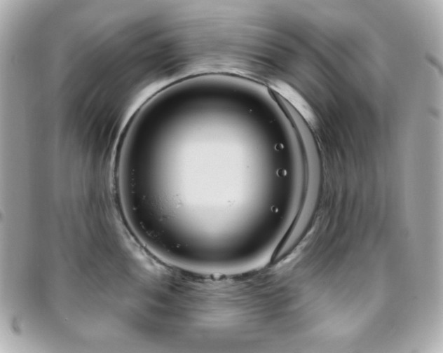 X0000096431052200801241334