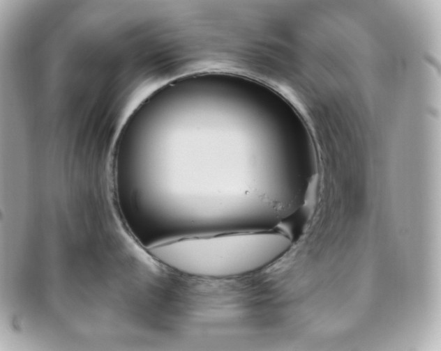 X0000096431056200801241334