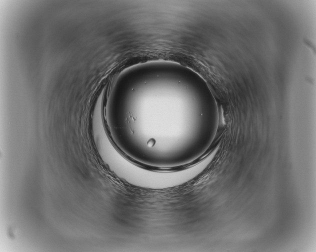X0000096431057200801241334