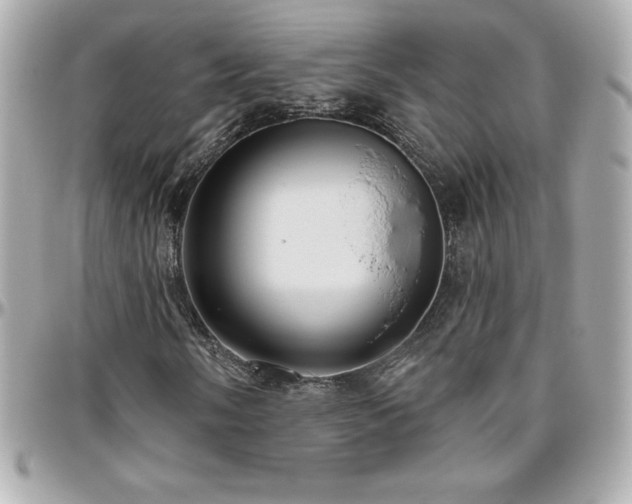 X0000096431058200801241334