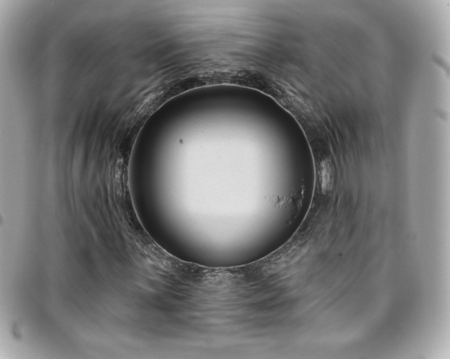 X0000096431059200801241334