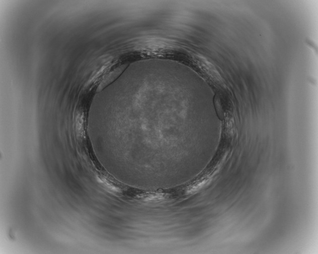 X0000096431060200801241334