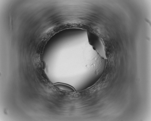 X0000096431062200801241334