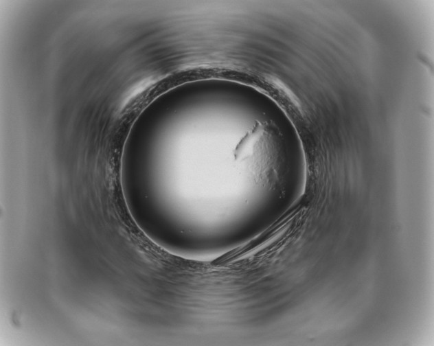 X0000096431064200801241334