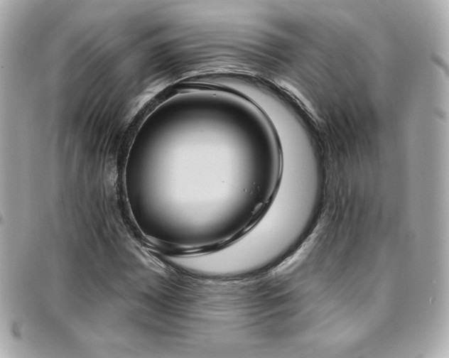 X0000096431065200801241333