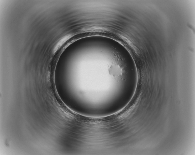 X0000096431066200801241333