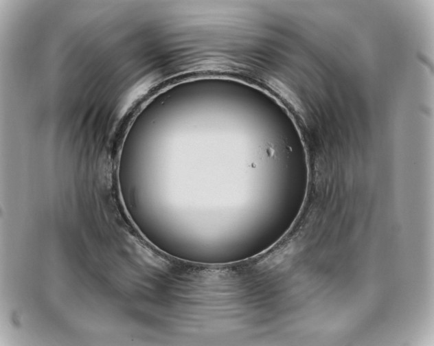 X0000096431067200801241333