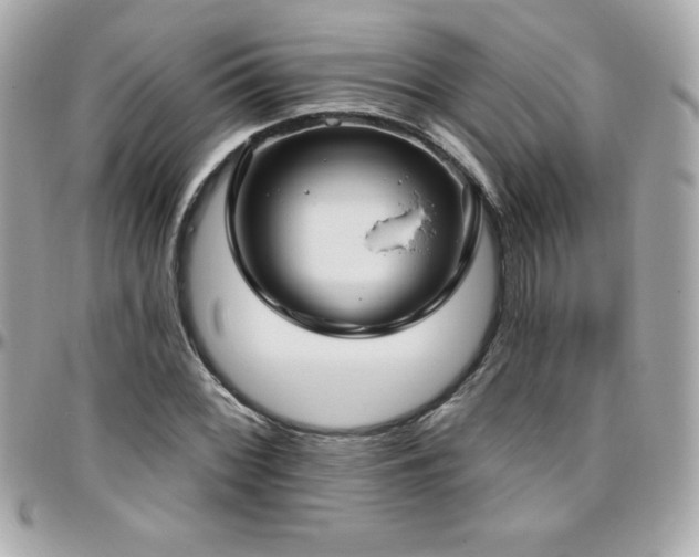 X0000096431068200801241333