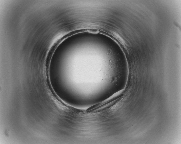 X0000096431072200801241333