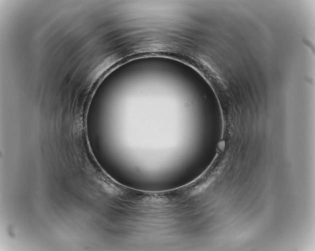 X0000096431073200801241333