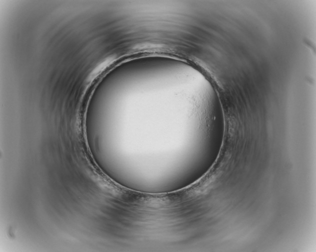 X0000096431074200801241333