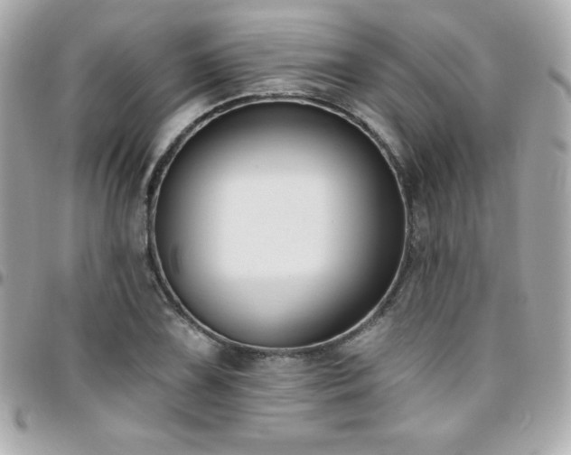 X0000096431075200801241333
