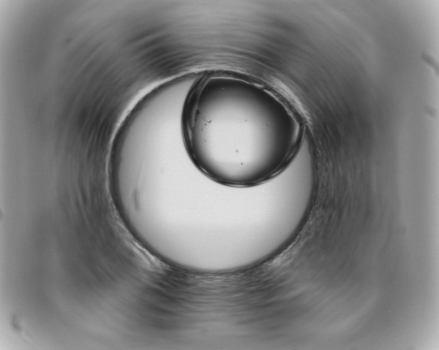 X0000096431076200801241333