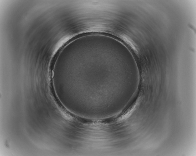 X0000096431077200801241333