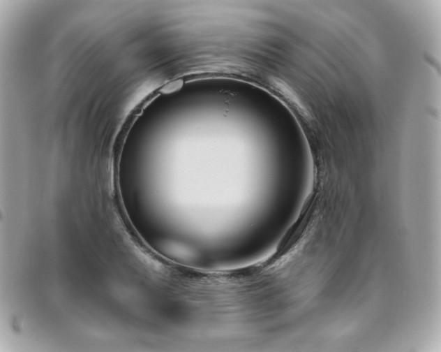 X0000096431079200801241333