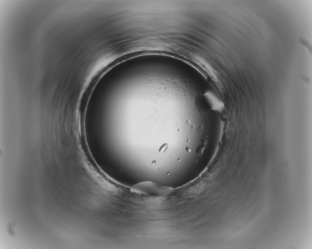 X0000096431080200801241333