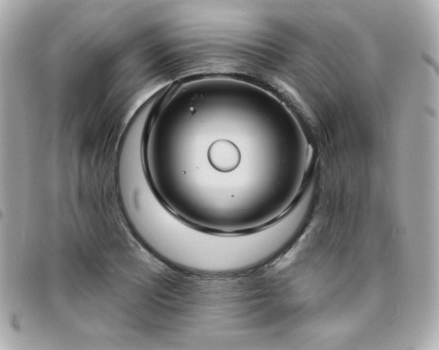 X0000096431081200801241333
