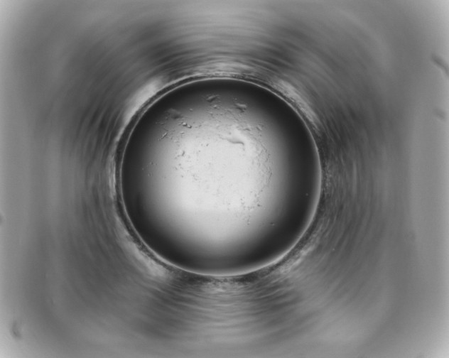 X0000096431083200801241333