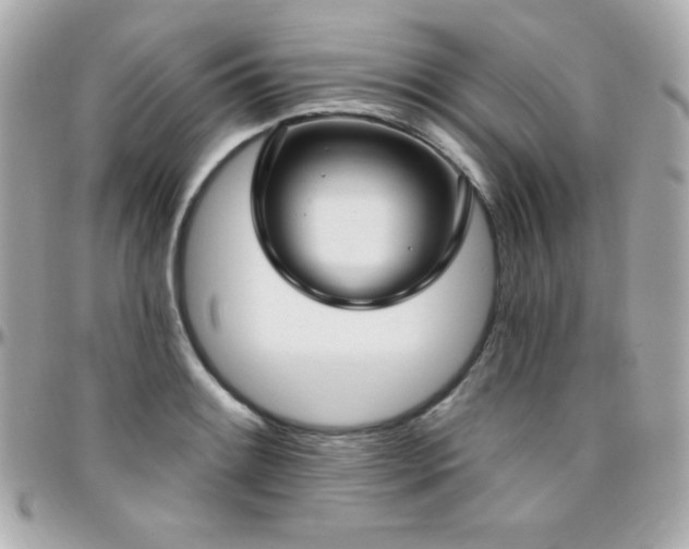 X0000096431084200801241333