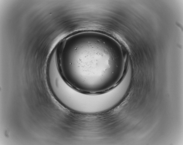 X0000096431085200801241333